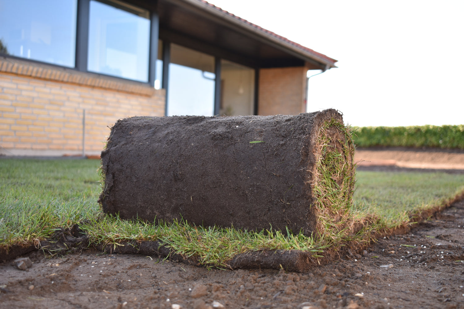 TurfMaster Premium rullegræs