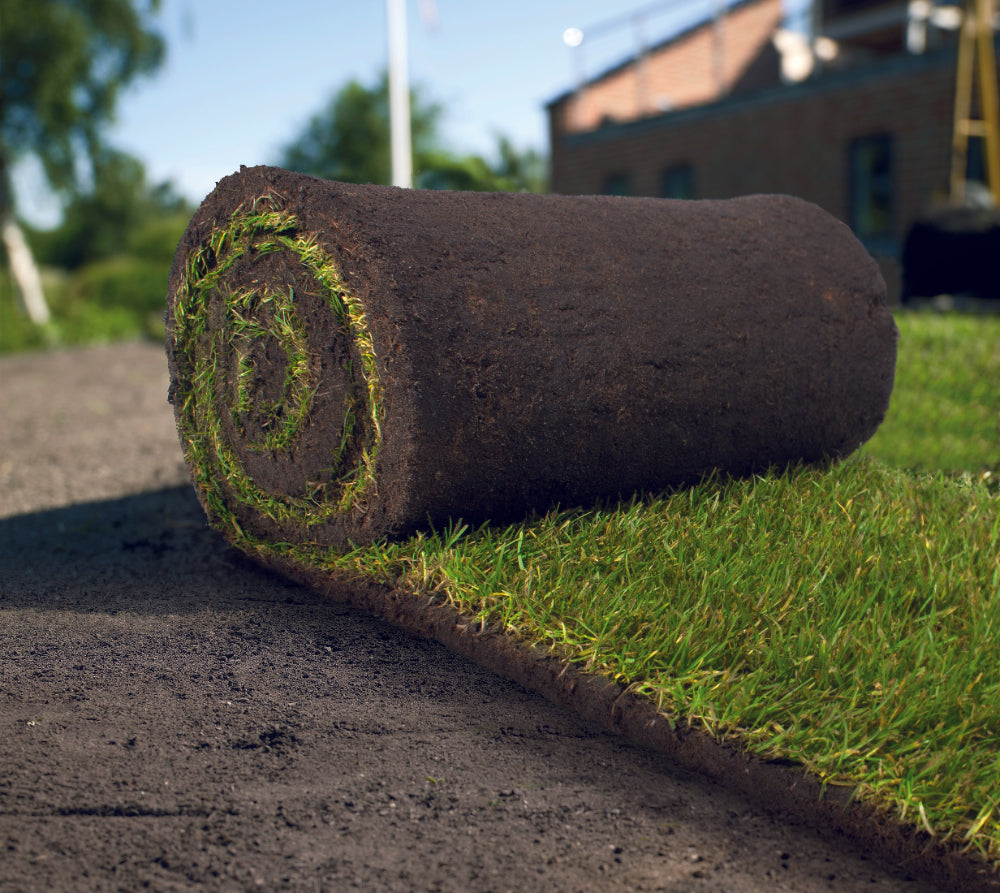 TurfMaster Premium rullegræs