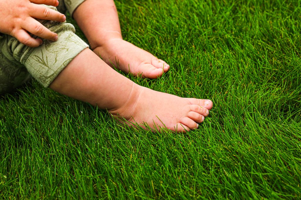 baby sidder på en grøn græsplæne
